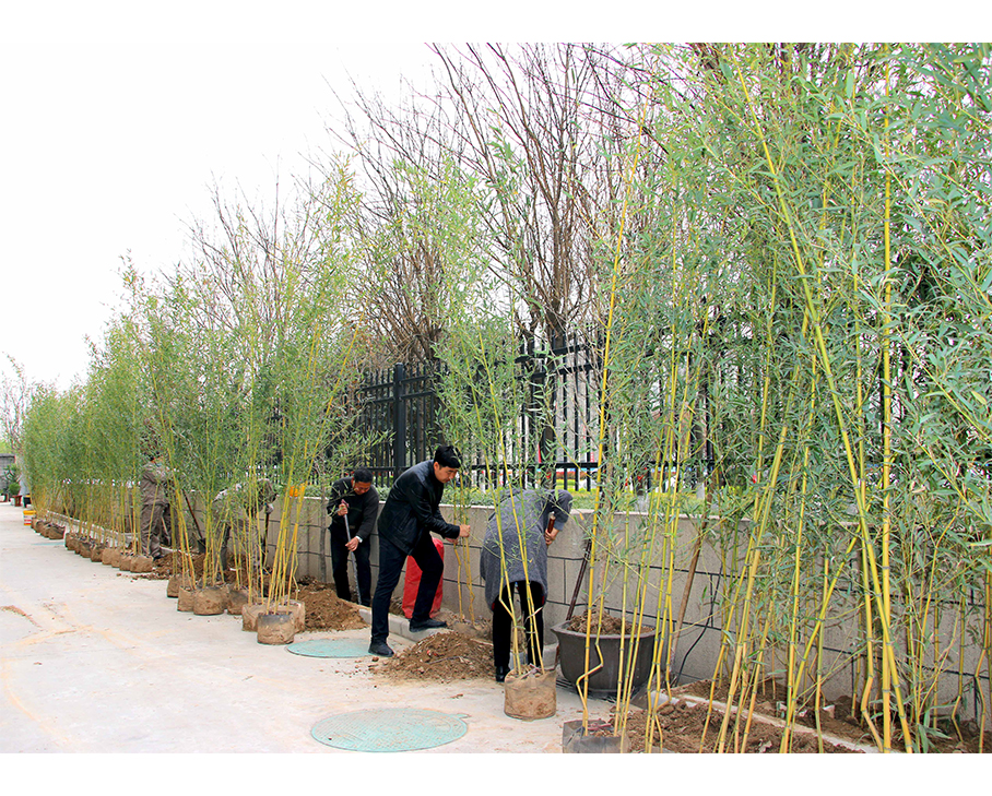 春風催新綠，植樹正當時