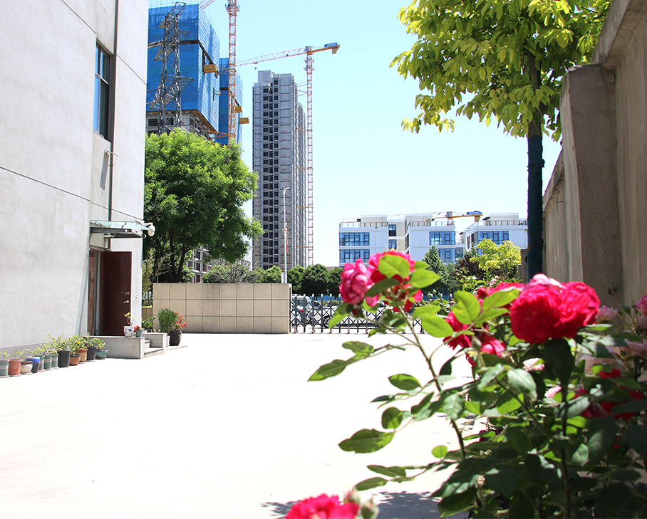 不負好春光，品質生產忙不停